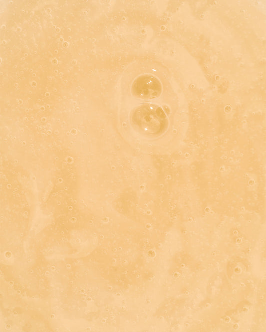 Hair Heat and Sun Protector | Hydrates and Prevents Frizz | BE WISE | 6 OZ / 180 ML - Ginger Milk Natural Care